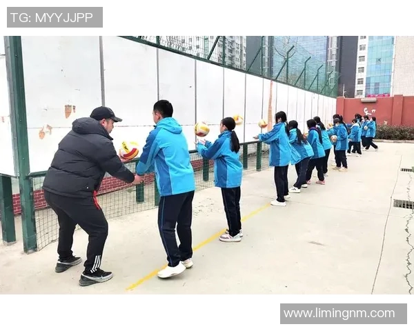 从零起步：全面提升排球个人技能的实用指南与训练方法