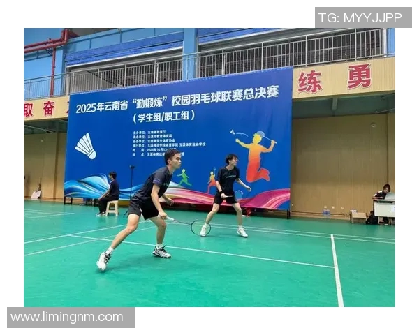 北京羽毛球队技术表现的数据分析与提升策略探讨