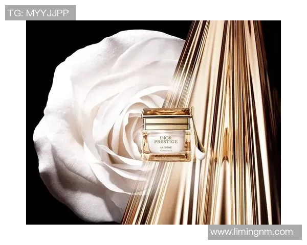 足球明星迪奥的传奇故事与辉煌成就解析